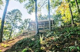 River Retreat Cabin - Living Water Farm - Foto 40