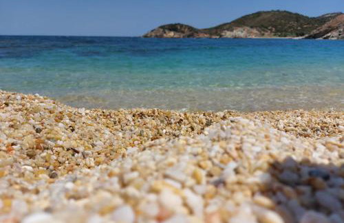 Seagulls - Within walking distance from sea! - Foto 49