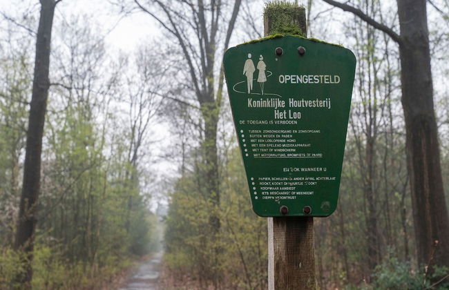 Beautiful Holiday Chalet in Emst With a Private Garden - Photo 33