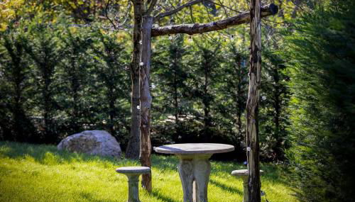 Nido di vetro - Foto 5, Garden