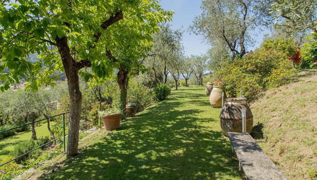 L'Amandola Villa - Agriturismo - Foto 5