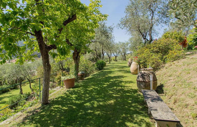 L'Amandola Villa - Agriturismo - Foto 5