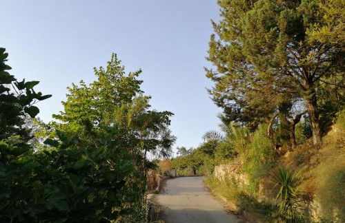 La Fenice apartment - Foto 19