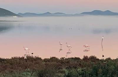 Residence Elegance Villa La Sterlizia Porto Pino - Foto 5