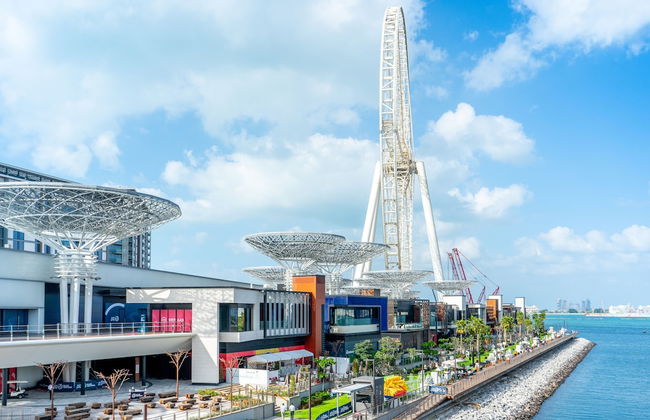 FAM Living - Bluewaters Island - Ain Dubai - Photo 29