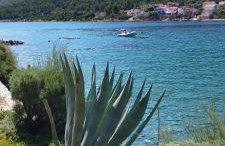 Toma's Apartment - Foto 4