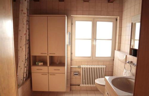 Zurück zur Wurzel - Foto 16