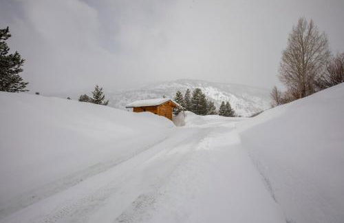 New for 2025 Chalet Homestake View - Foto 42