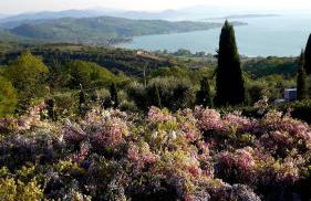 Villa La Moraiola - Foto 57