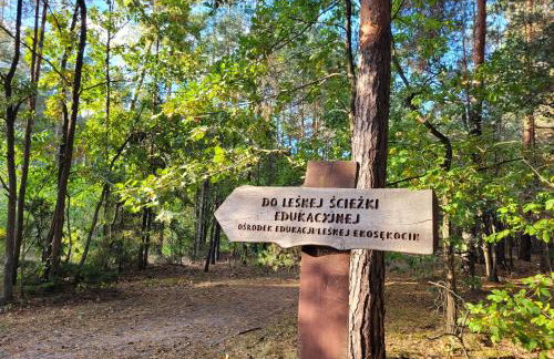 Apartament Walendów Park - Foto 19