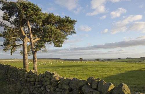 1 Bed in Pateley Bridge oc-g0026 - Photo 21