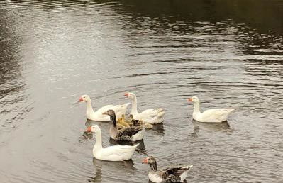 Monte de Stª Margarida - Foto 39