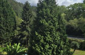 Corias Casona junto al Narcea - Foto 8