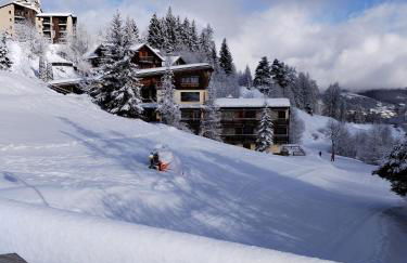 Beau Duplex - Super Sauze - SAUZE 1700 - Foto 1