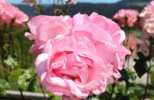 Gite chez Isabelle - Foto 9