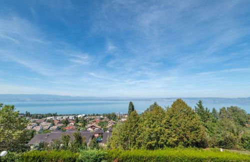 Chalet avec sauna entre Lac Leman, Montagnes et Golf - Le Cocon du Lac Léman - Foto 11