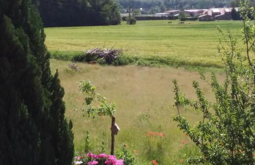 Apartment Schmetterling by Interhome - Foto 32