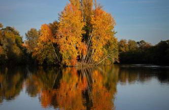 La Bûcherie - Appartement cœur de ville classé 3 étoiles - Photo 46
