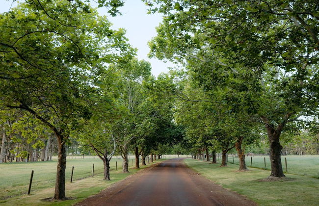 Losari Retreat - Foto 55