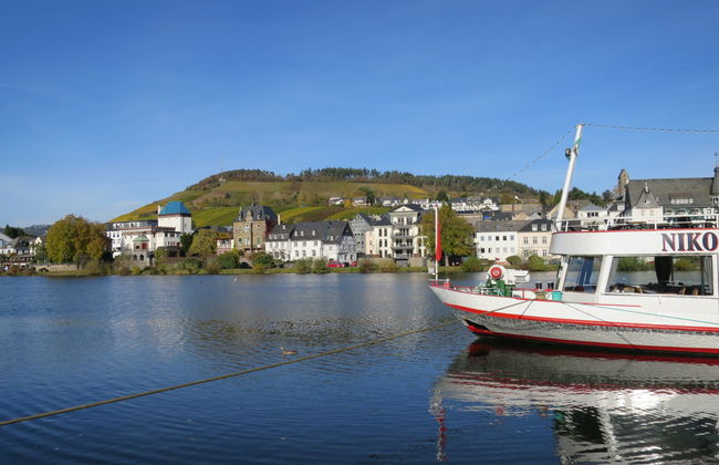 Apartment in Traben-Trarbach - Photo 21