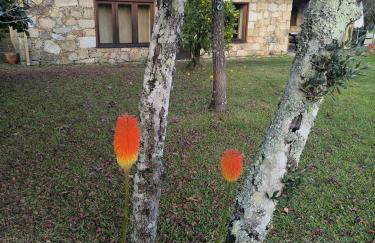 Casa de Reborido - Foto 48