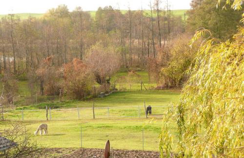 FeWo mit Balkon, Zimmermann - Foto 43