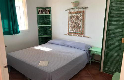 ED REXII ático - Foto 17