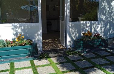 Centenária - Foto 53