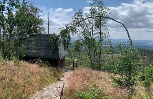 Liebevolles Appartement-Erholung pur in Bad Sachsa - Foto 9
