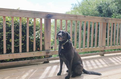 The Willows - Foto 39