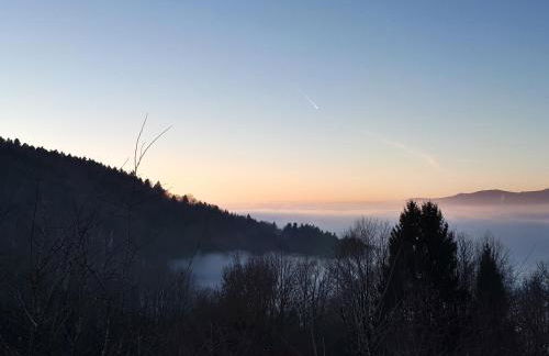 Ferienapartment 38 Sonnenwald - Foto 80