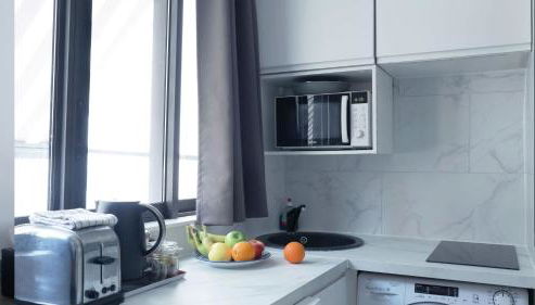 Arc de Triomphe & Trocadéro Square - Paris Vacation Rentals - Foto 3, stove