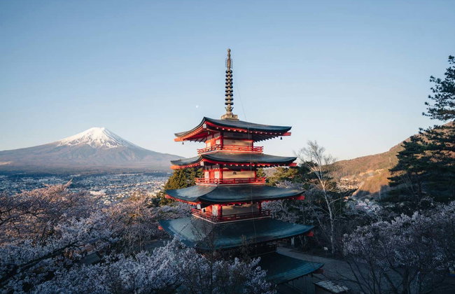 Mount Fuji, Lake Kawaguchi + Chureito Pagoda Day Trip - Foto 7