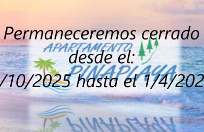 APARTAMENTO PINAPLAYA - Photo 39