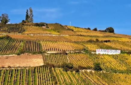 Au nid de cigo - Foto 24