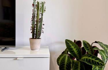 Casa de Campo - Country House - Esposende - Foto 21