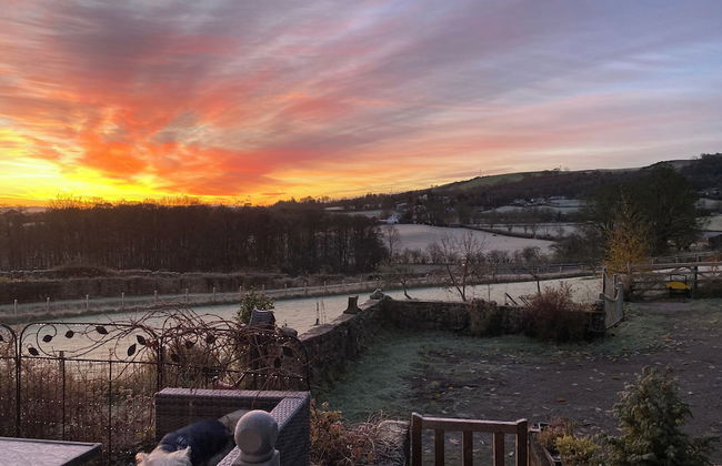 Shepherds Hut-1 Bed-hot Tub -views - Foto 18