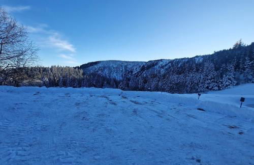 Appartements Les Vosges - Foto 66