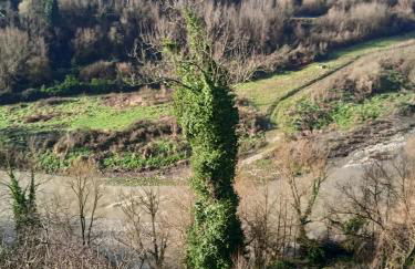Casa di Paola a Tufo - Photo 27