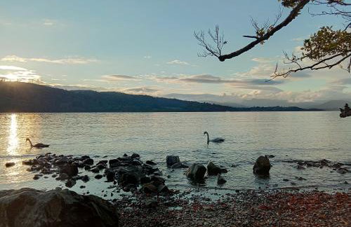 Lindisfarne Cottage in Windermere - Foto 30