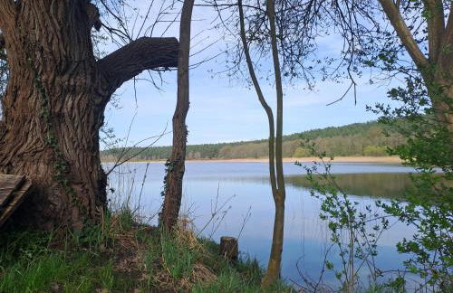 Haus Hecht - Foto 33