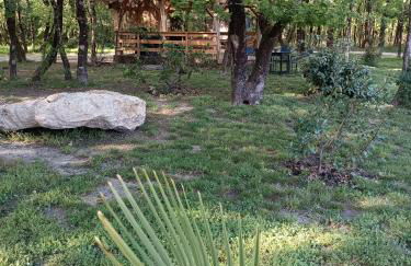 Domaine D'Erras - la bergeronnette - Foto 6