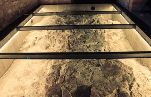 Agriturismo Antico Muro - Foto 26