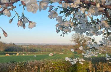 Granny's House - Kilrea - Foto 13