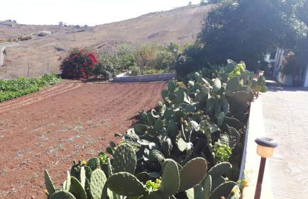 Casa Cueva Villa Aday - Foto 38