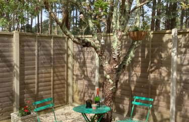 Forest Heath Holidays - The Nook - Foto 8