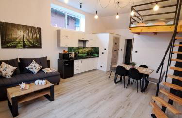 Apartament z antresolą - Foto 10