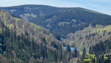 YALET Ferienhaus 2 appartementen vlakbij Willingen - Foto 3