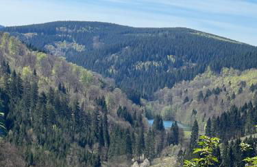 YALET Ferienhaus 2 appartementen vlakbij Willingen - Foto 3