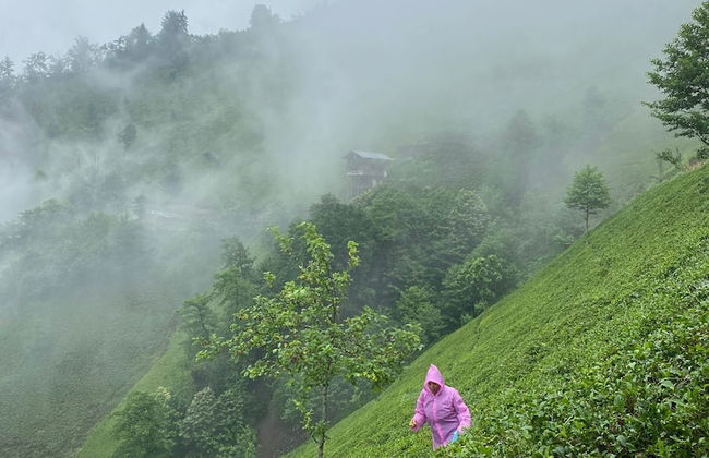 Northland Bungalows - Foto 57